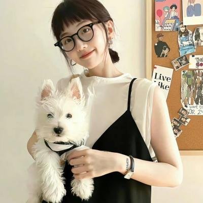 爱情至上