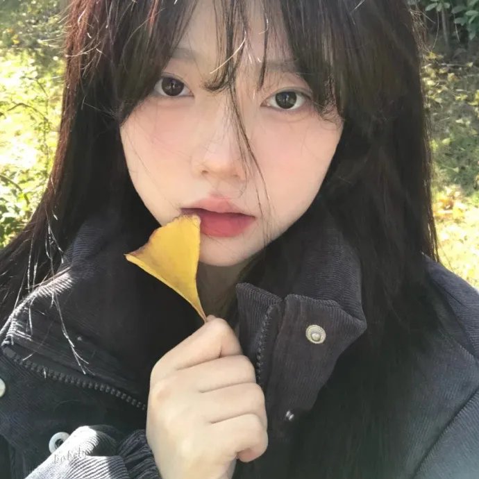 导火新闻线粤语